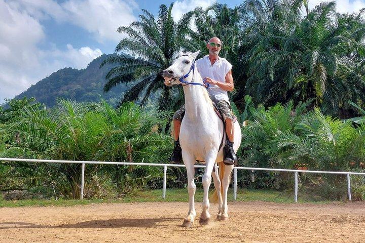 Krabi Horseback Riding with Beach and Khao Thong Forest 1 Hour