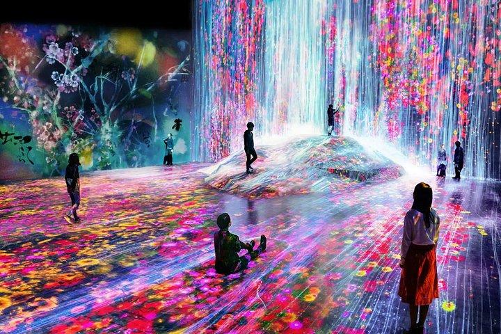 Tokyo Bay Night Dinner Cruise with TeamLab Borderless Ticket
