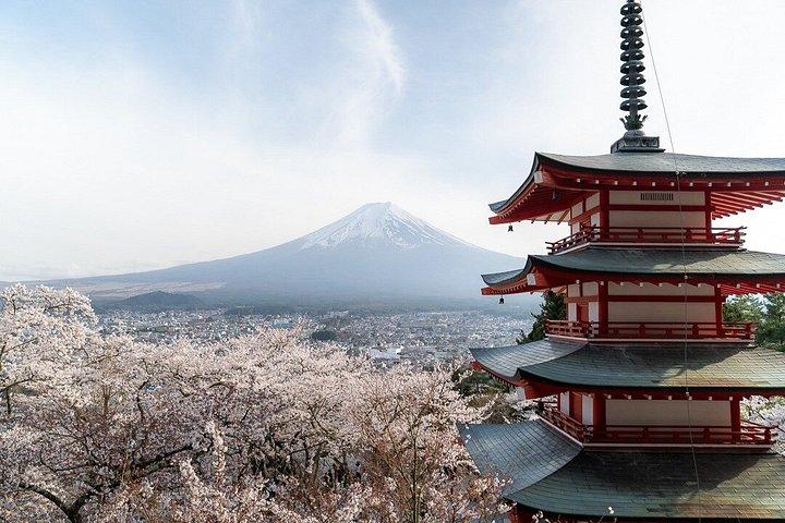 東京からチャーター便で行く、1日のプライベート富士山ツアー