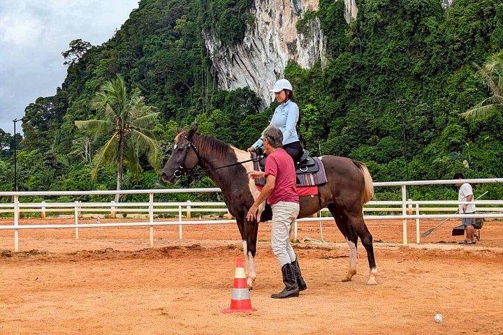 クラビ乗馬（ビーチとカオトーンの森1時間）