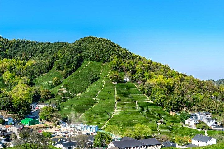 新幹線で行く上海発フレキシブル杭州プライベートツアー