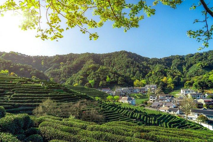 新幹線で行く上海発フレキシブル杭州プライベートツアー