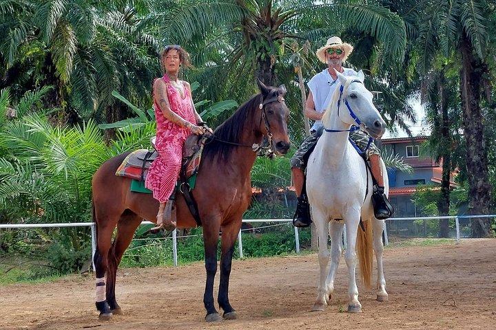 クラビ1 - カオトーントレイルとビーチライドで1時間乗馬