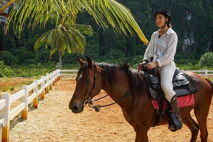 クラビ1 - カオトーントレイルとビーチライドで1時間乗馬