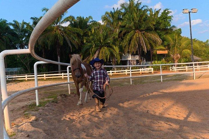 クラビ1 - カオトーントレイルとビーチライドで1時間乗馬