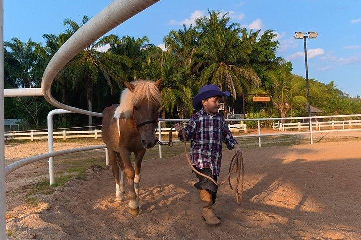 クラビ1 - カオトーントレイルとビーチライドで1時間乗馬