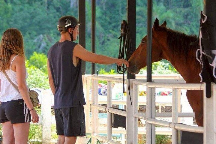 クラビ1 - カオトーントレイルとビーチライドで1時間乗馬
