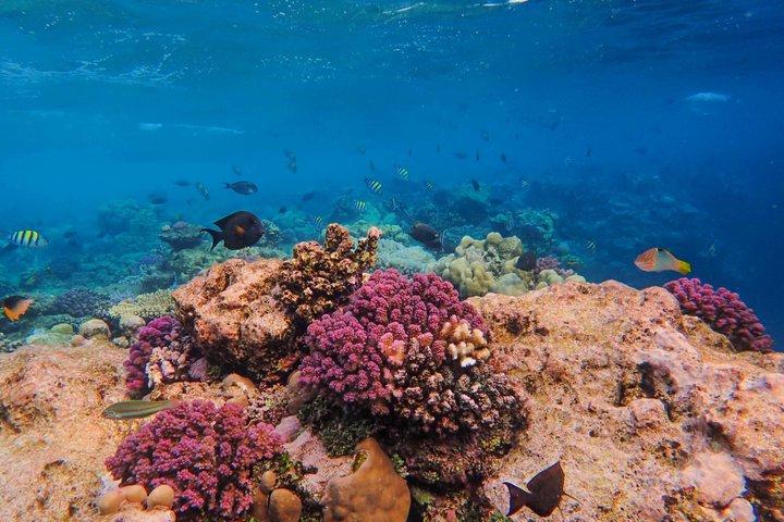 バリ島シュノーケリングブルーラグーン水中カメラ付き