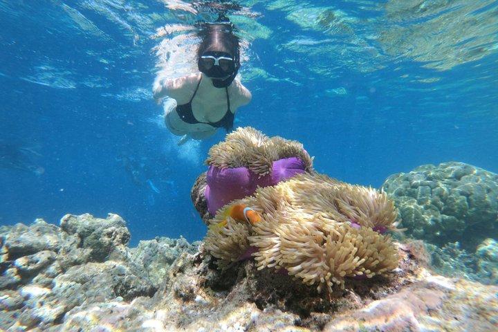 バリ島シュノーケリングブルーラグーン水中カメラ付き