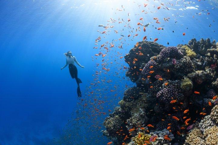 バリ島シュノーケリングブルーラグーン水中カメラ付き