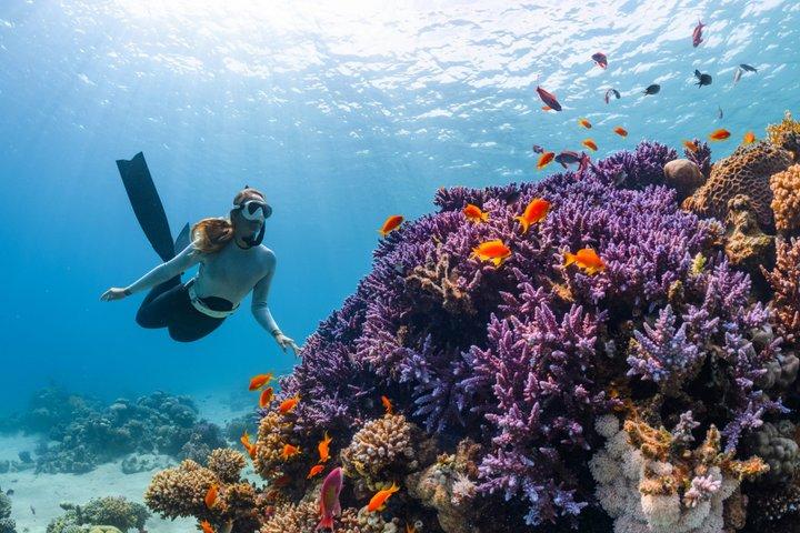Bali Snorkeling Blue Lagoon med undervandskamera