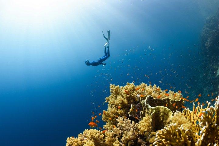 バリ島シュノーケリングブルーラグーン水中カメラ付き
