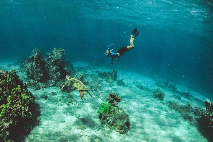 バリ島シュノーケリングブルーラグーン水中カメラ付き