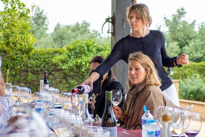Vicino Malaga : Vigneto biologico Mijas, 5 vini, 2 oli e tapas