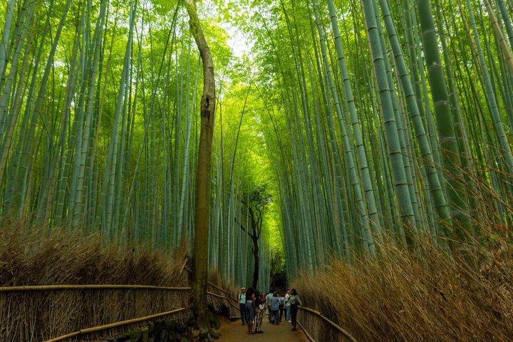 Visite privée personnalisée de Kyoto avec Guide local