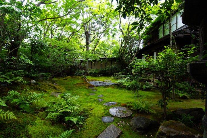 Visite privée personnalisée de Kyoto avec Guide local