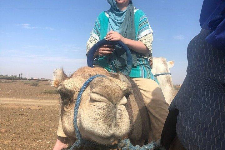 ラクダ乗りとローカルランチ付きアトラス山脈終日ツアー