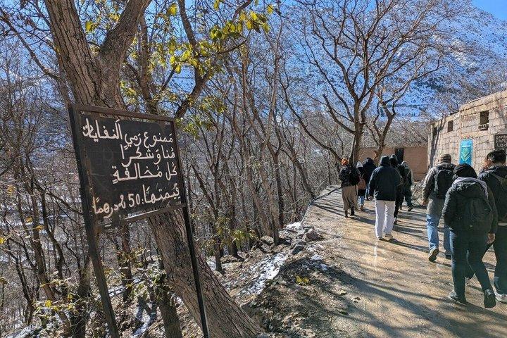 ラクダ乗りとローカルランチ付きアトラス山脈終日ツアー