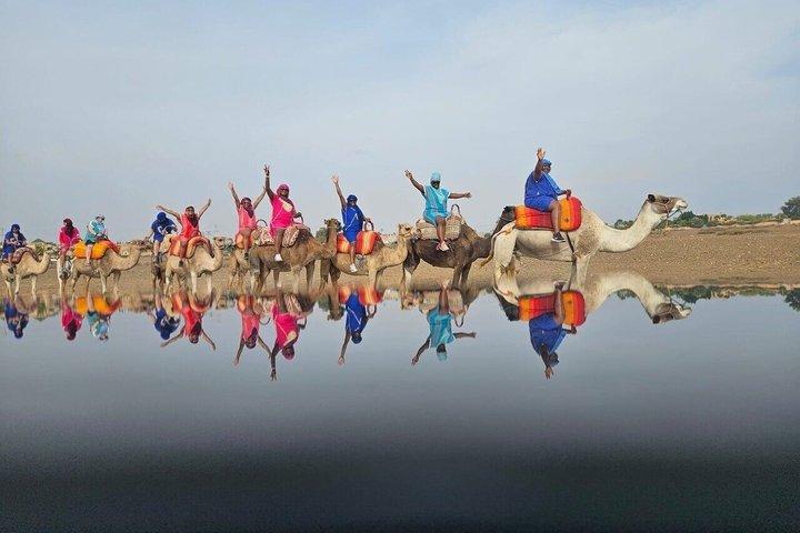 Fulddags Atlas Mountains Tour med Camel Ride og lokal frokost