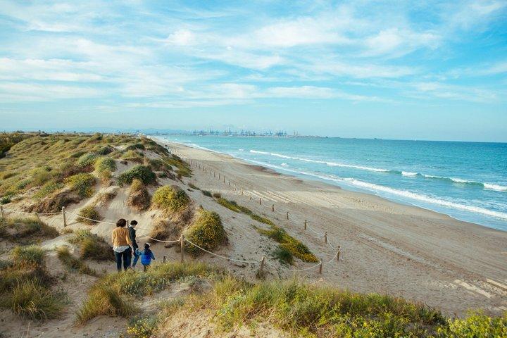Albufera naturpark tur fra Valencia: Bådtur og lokal Vejleder