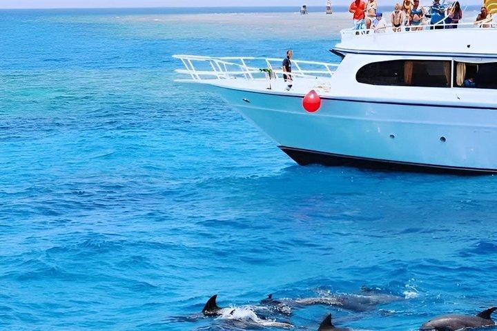 ハルガダ ドルフィンハウス シュノーケリング＆イルカとの水泳クルーズ