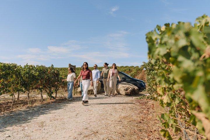 Private Wine Tour Alentejo