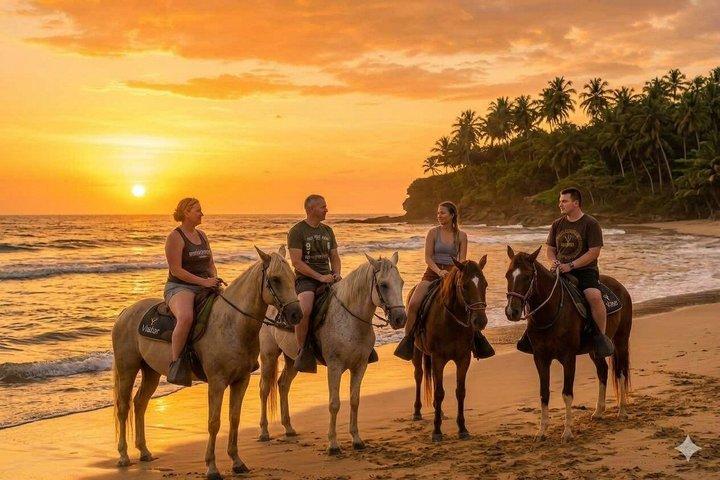 Punta Cana Sunset Horseback Riding on Macao Beach & Forest
