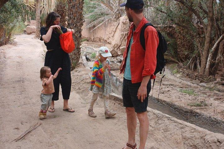 Tour privato a piedi dell'oasi di Skoura e pasto fatto in casa con la gente del posto