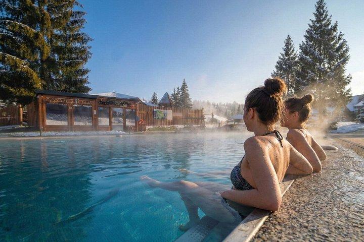 クラクフ・ザコパネ地域 スノーモービルアドベンチャーと温泉