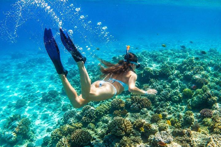Een volledige dag Musandam Dibba Cruise met lunchbuffet en snorkelen
