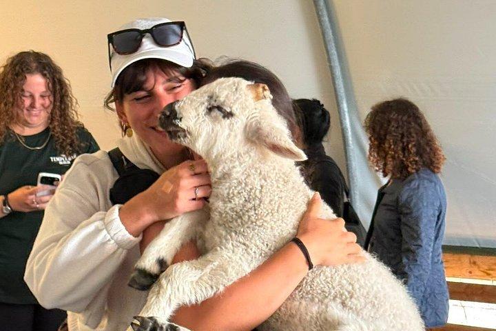 ダブリン海岸エクスカーション・レールツアー：ウィックロー、アボカ、グレンダロー