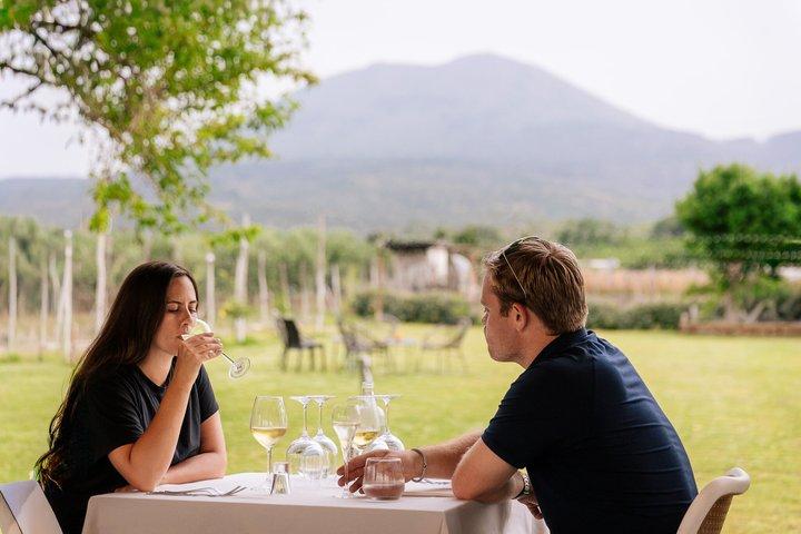 Pompeii Guided Tour & Horse Riding on Vesuvius with Lunch