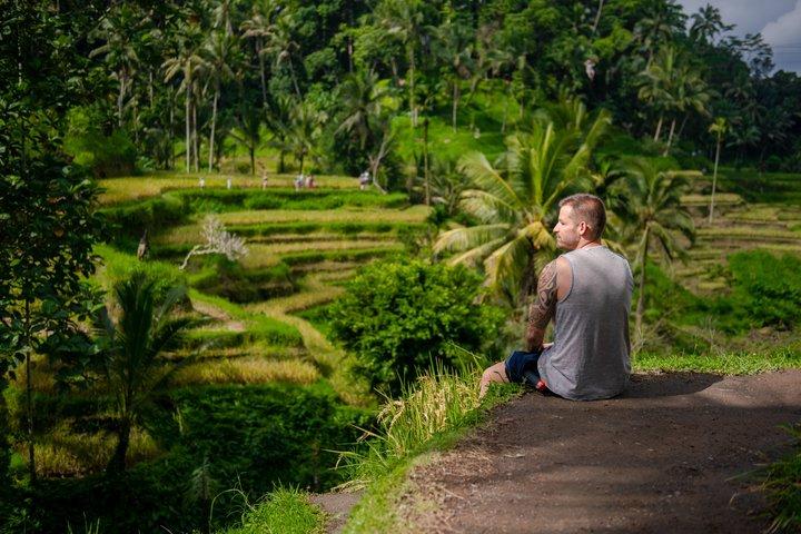 Ubud Highlight Tour Affenwald, Wasserfall, Tempel & Tegalalang
