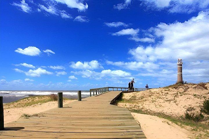 Visit Garzon Winery and Jose Ignacio. Private Driver.