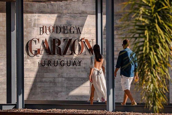 Visit Garzon Winery and Jose Ignacio. Private Driver.