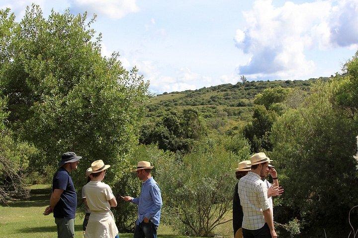 Visit Garzon Winery and Jose Ignacio. Private Driver.