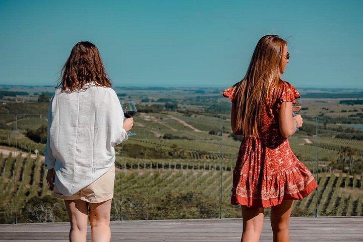 Visit Garzon Winery and Jose Ignacio. Private Driver.
