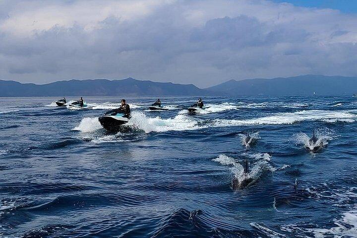 Guided Dolphin Jet Ski Adventure | Long Beach to Catalina Island
