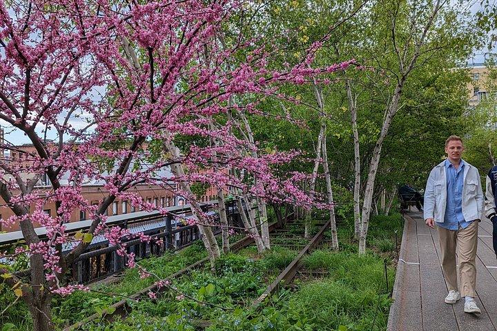 Access The High Line with the Ultimate Guide to Sky Garden