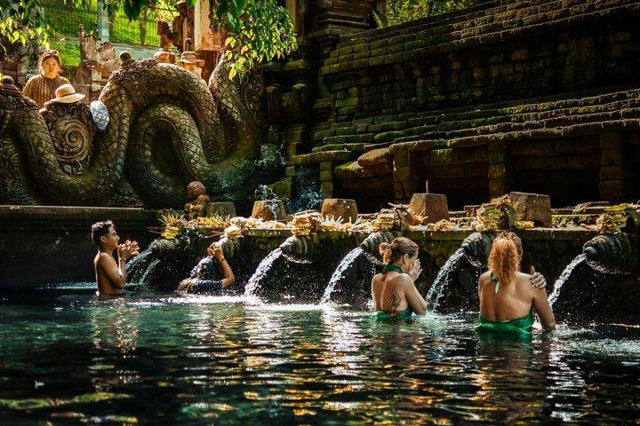Bali Private Day Tour with Driver Service