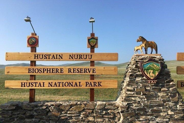 Dagtrip naar Hustai Nationaal Park