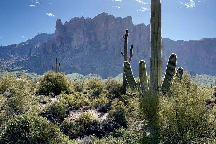 Histórias e mistérios do Apache Trail One Day Van Tour