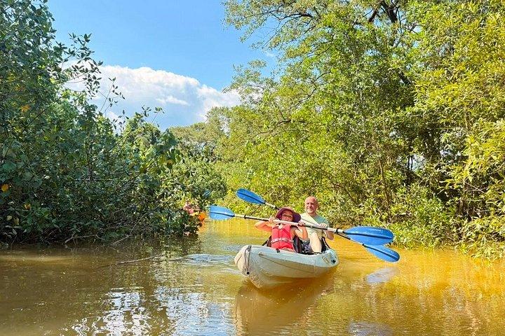 Mangrove River Kayak Tour Samara and Carrillo