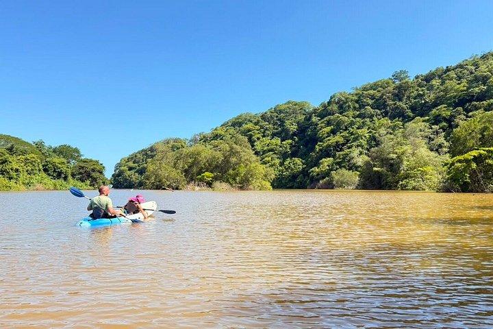 Mangrove River Kayak Tour Samara and Carrillo