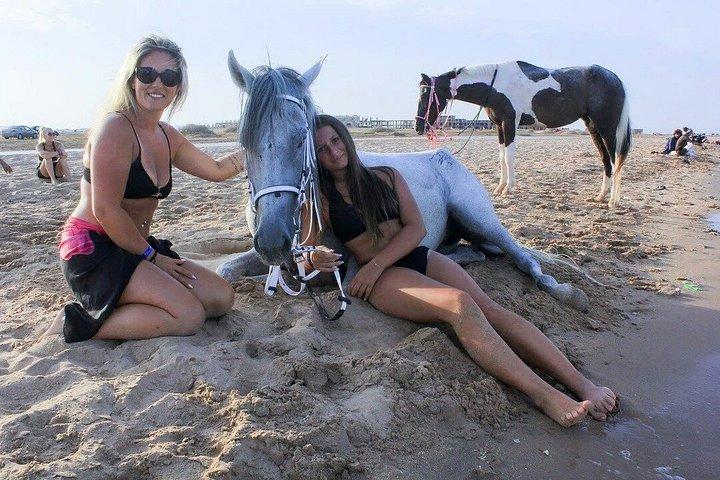 ハルガダ：朝または夕方の乗馬と水泳