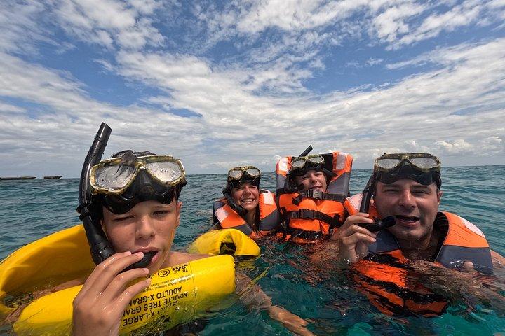 Tagesausflug zum Kisite Mpunguti Marine Park