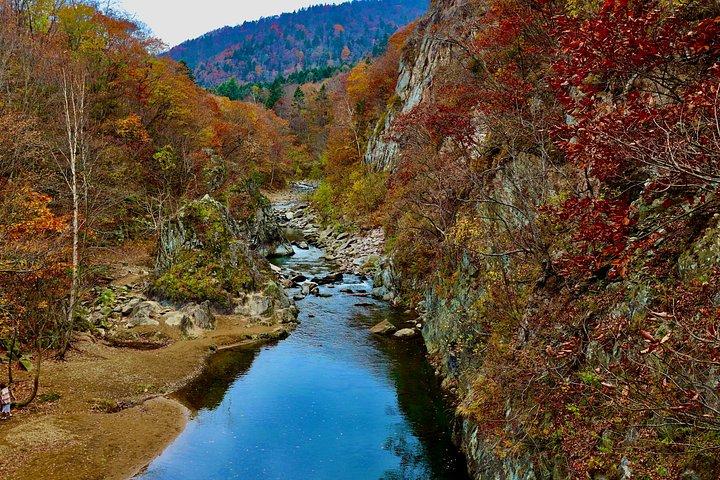 北海道札幌プライベートカスタムウォーキングツアー