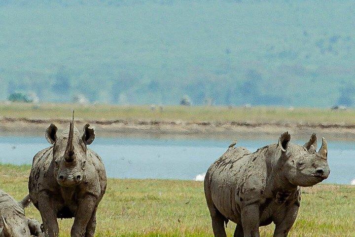 5 Days Shared Camping Joining Safaris