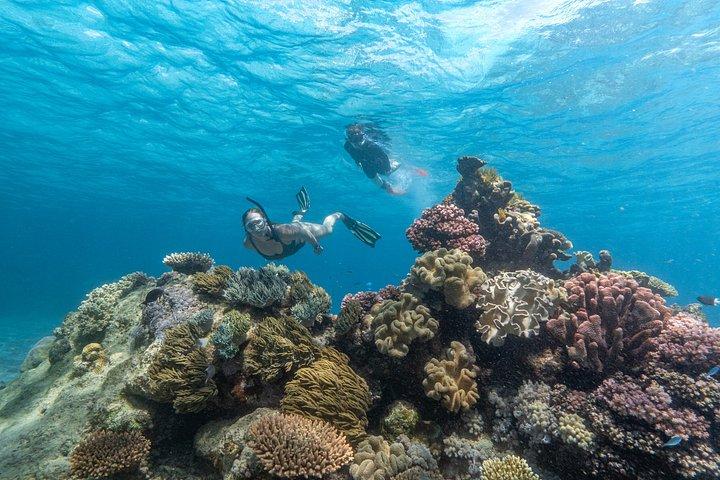 SeaQuest Day Trips to Outer Barrier Reef