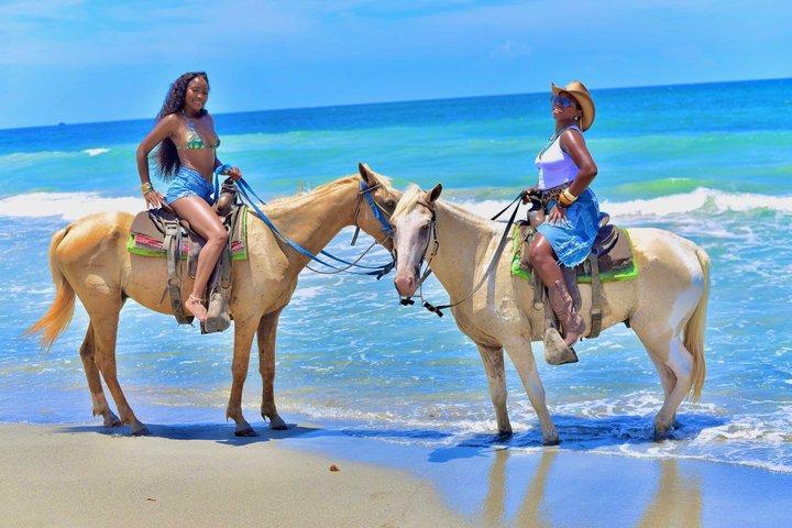 Punta Cana Horseback Riding & Macau Beach Experience